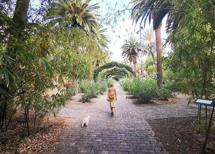 Home2book Ocean View Teresitas 0 公寓 *